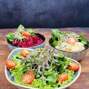Grüner Salat mit Balsamico-Dressing